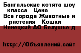 Бангальские котята шоу класса › Цена ­ 25 000 - Все города Животные и растения » Кошки   . Ненецкий АО,Белушье д.